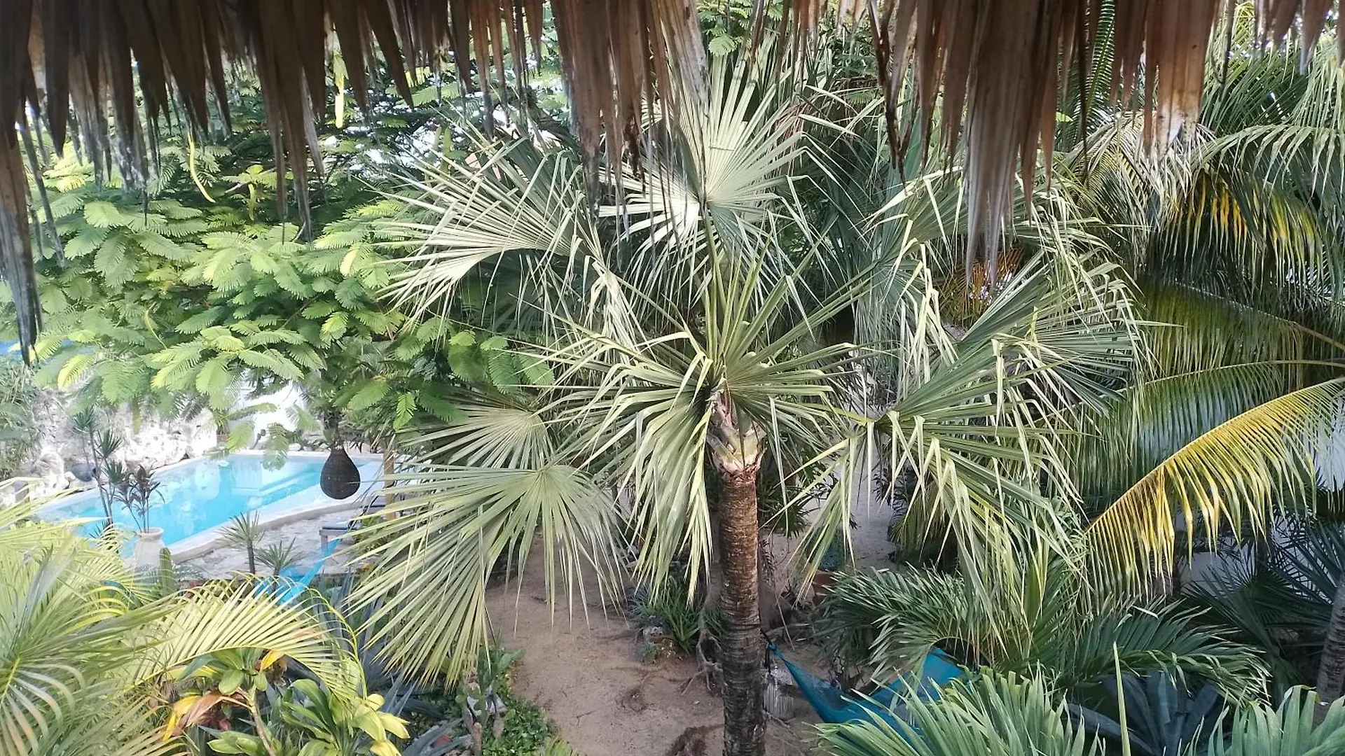 Hotel Zamunda Garden View Tulum