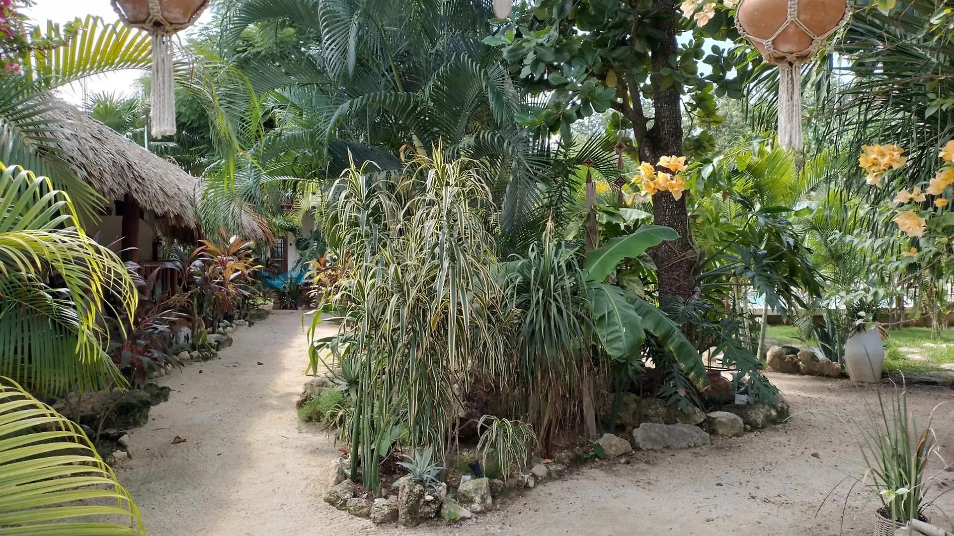 Inn Hotel Zamunda Garden View Tulum