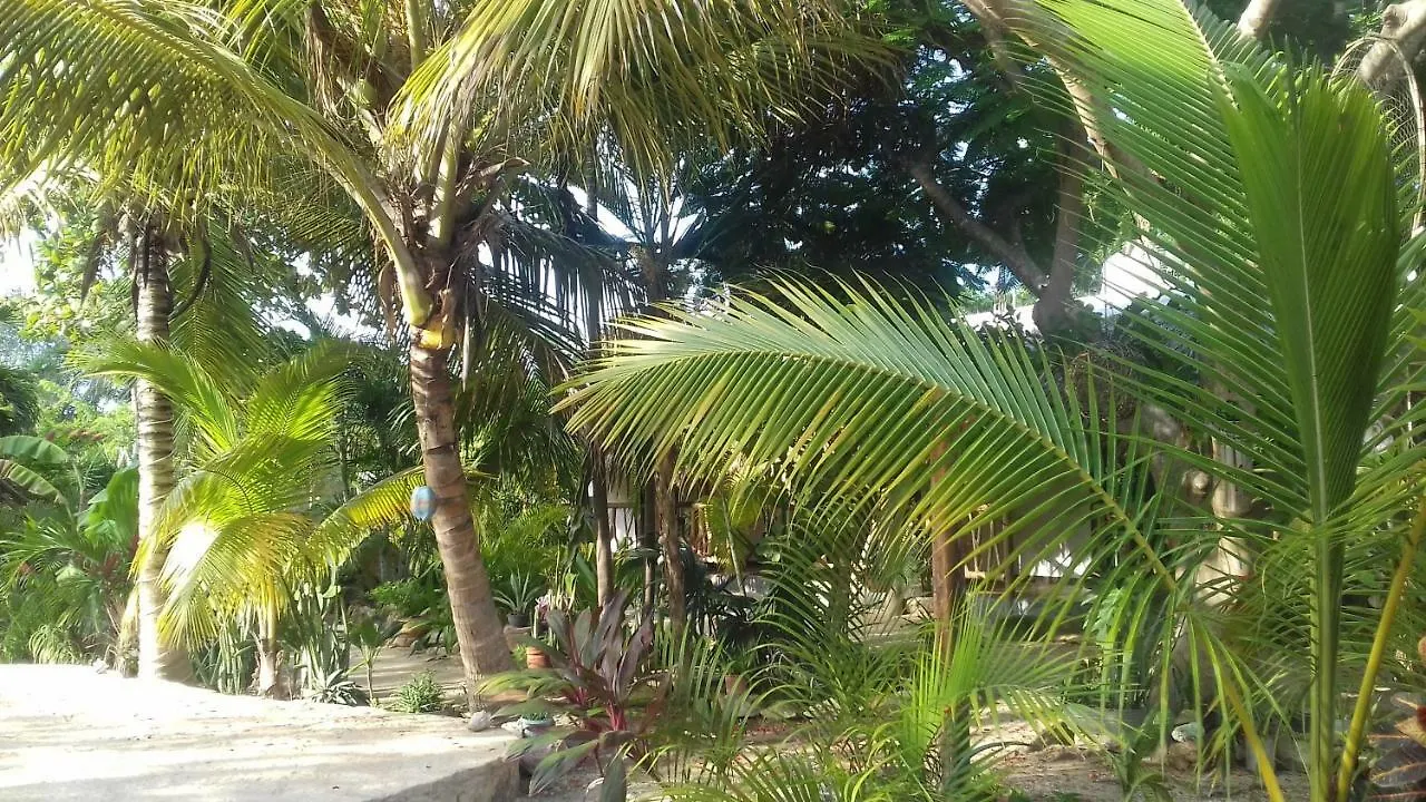 ** Inn Hotel Zamunda Garden View Tulum México